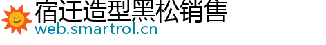 宿迁造型黑松销售